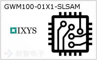 GWM100-01X1-SLSAM