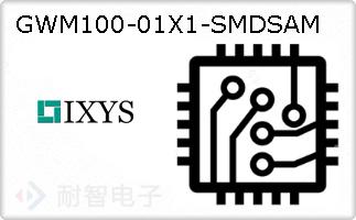 GWM100-01X1-SMDSAM