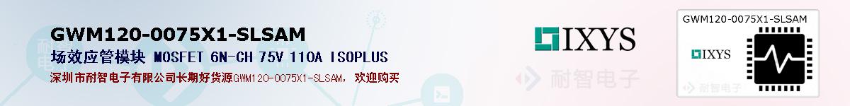 GWM120-0075X1-SLSAMıۺͼ