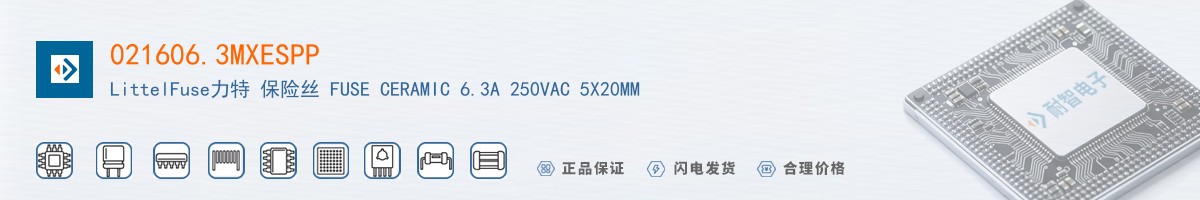 021606.3MXESPP������