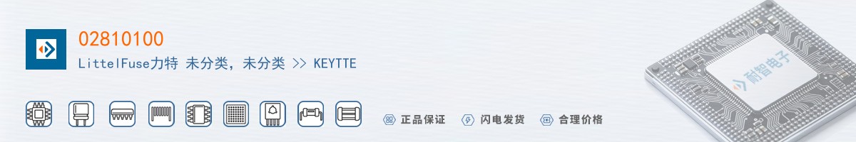 02810100������