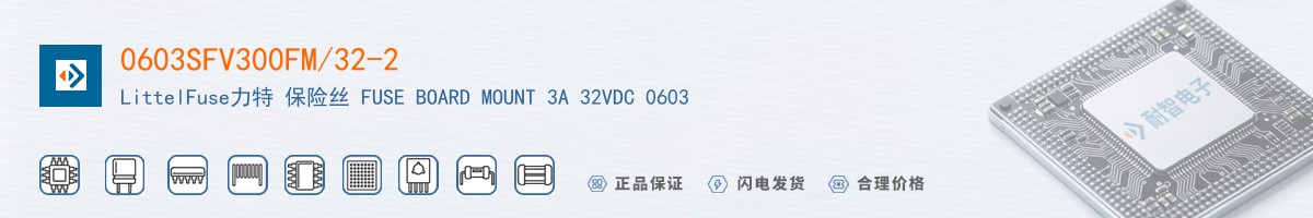 0603SFV300FM/32-2������