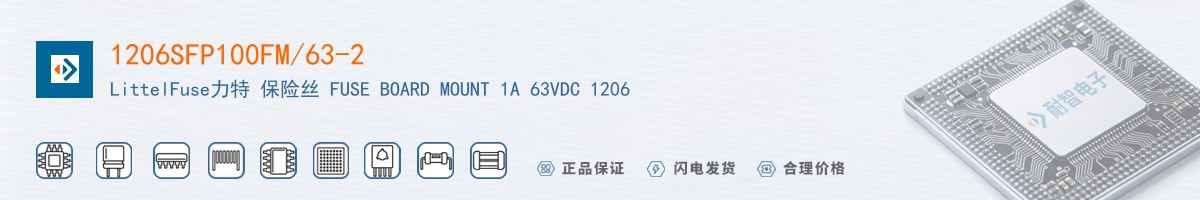 1206SFP100FM/63-2������