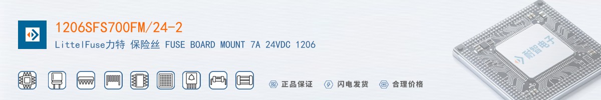 1206SFS700FM/24-2������