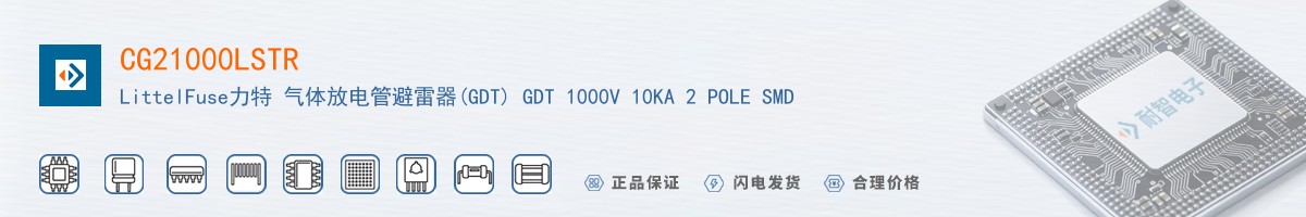 CG21000LSTR������