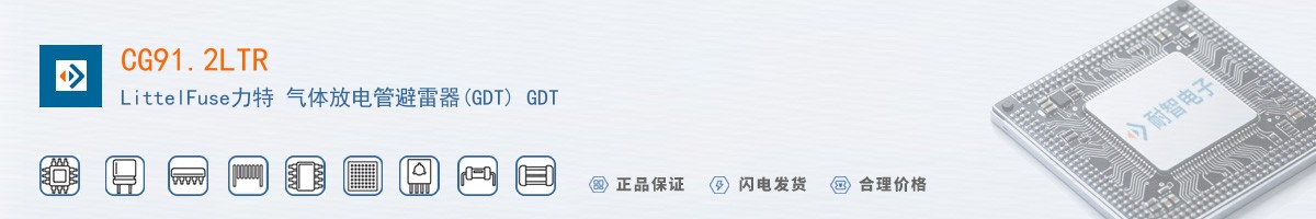 CG91.2LTR������