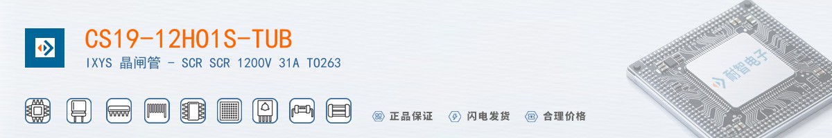 CS19-12HO1S-TUB������