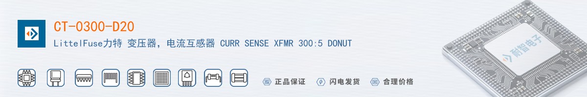 CT-0300-D20������