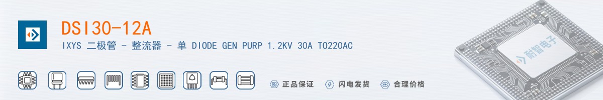 DSI30-12A������