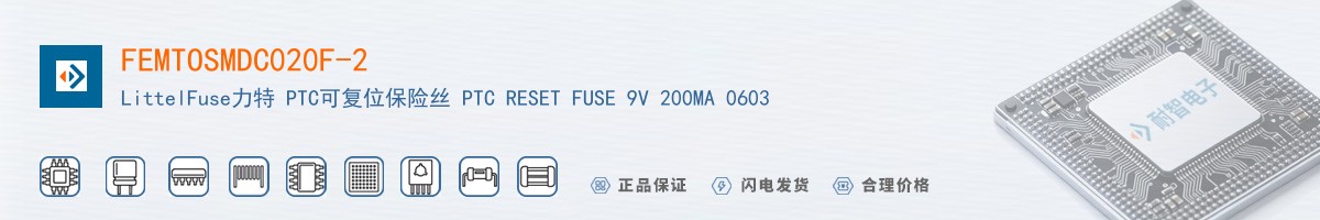 FEMTOSMDC020F-2������