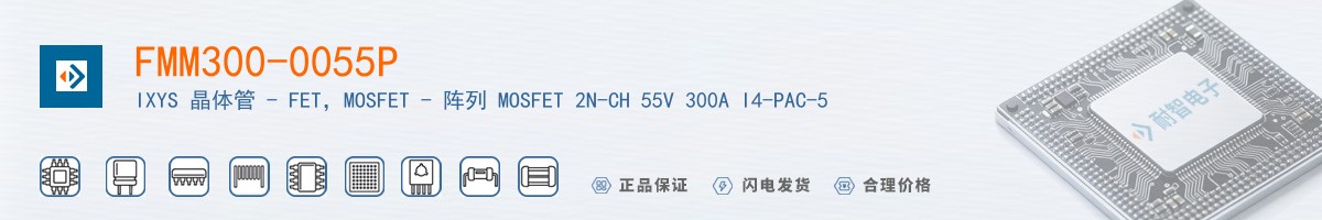 FMM300-0055P������