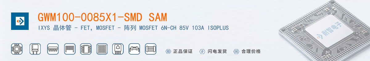 GWM100-0085X1-SMD SAM������