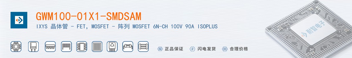 GWM100-01X1-SMDSAM������