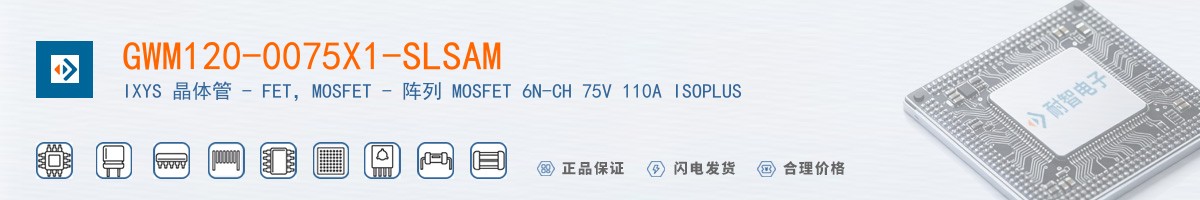 GWM120-0075X1-SLSAM������