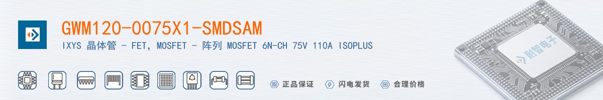 GWM120-0075X1-SMDSAM������