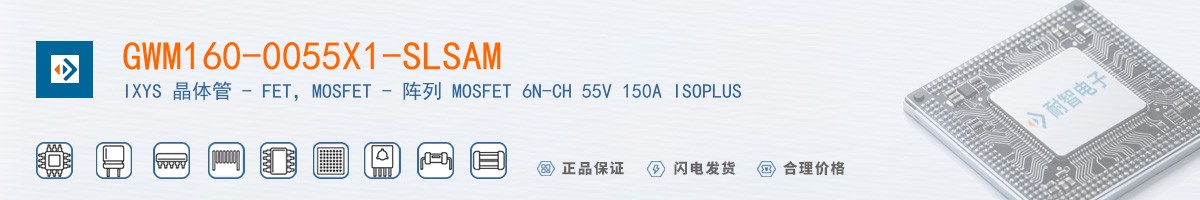 GWM160-0055X1-SLSAM������