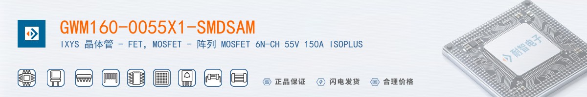 GWM160-0055X1-SMDSAM������