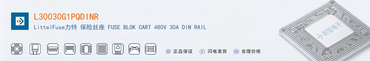L30030G1PQDINR������