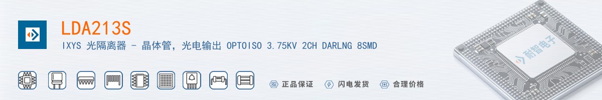LDA213S������