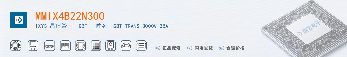 MMIX4B22N300������