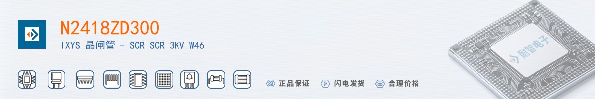 N2418ZD300������