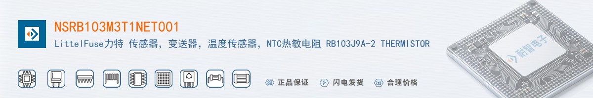 NSRB103M3T1NET001������