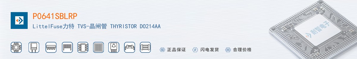 P0641SBLRP������