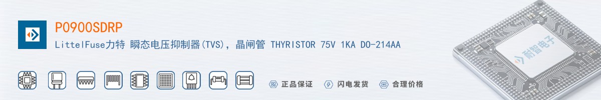 P0900SDRP������