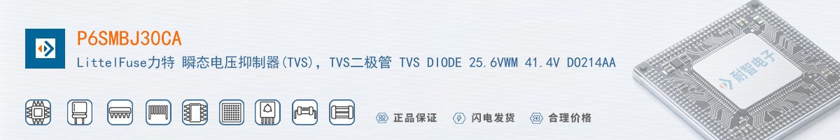 P6SMBJ30CA������