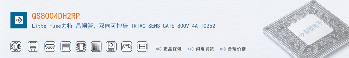 QS8004DH2RP������