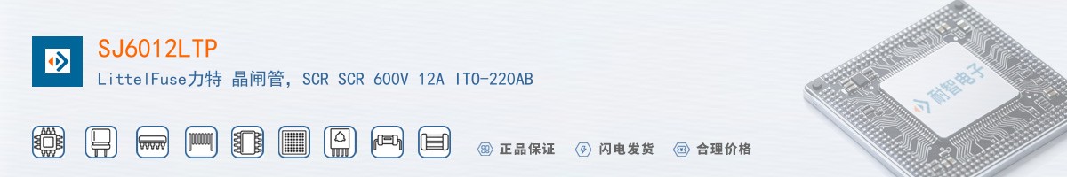 SJ6012LTP������