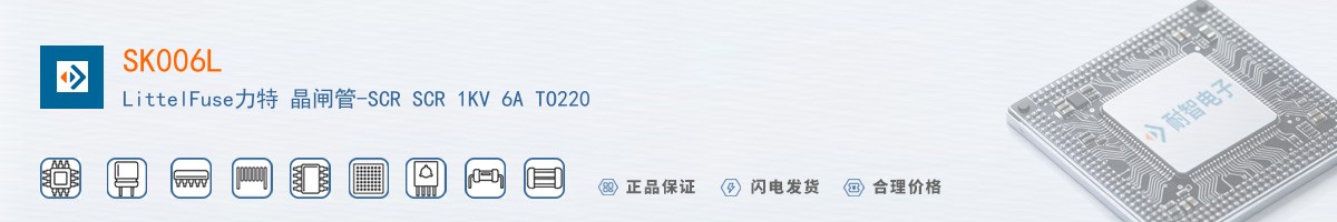 SK006L������