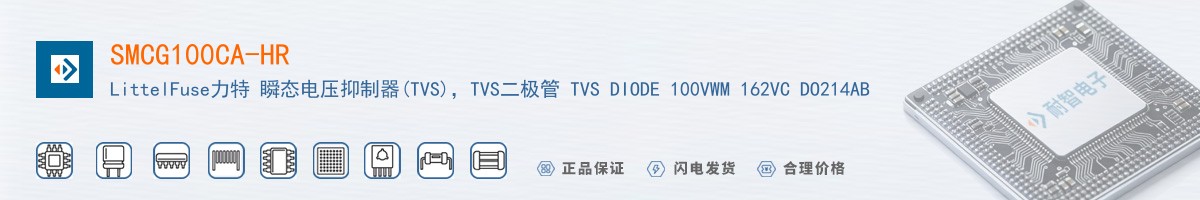 SMCG100CA-HR������