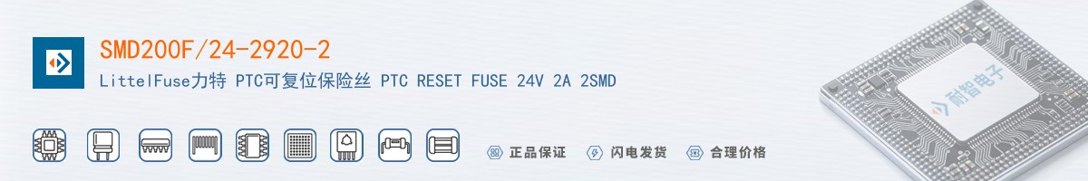 SMD200F/24-2920-2������