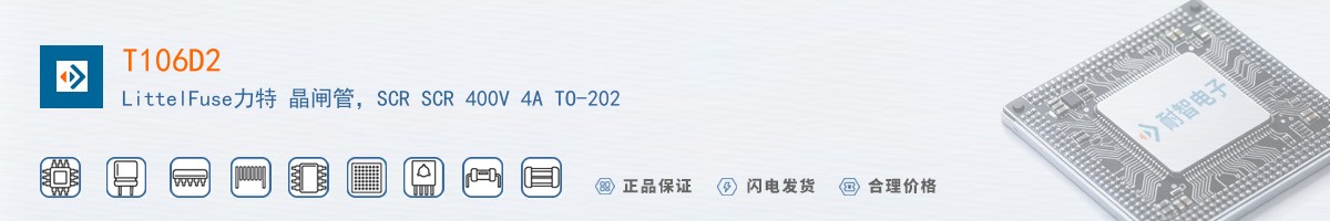 T106D2������