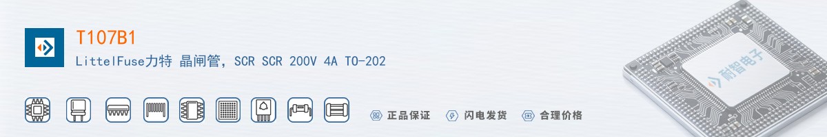 T107B1������