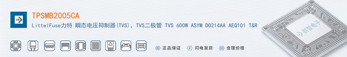 TPSMB2005CA������