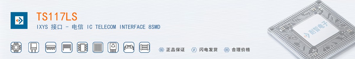 TS117LS������