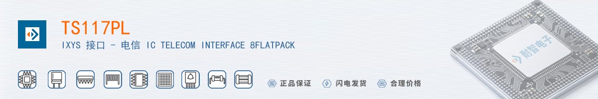 TS117PL������