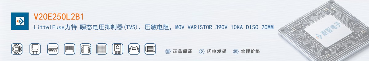 V20E250L2B1������