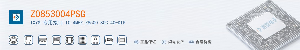 Z0853004PSG������