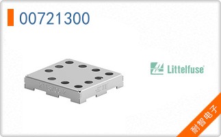 00721300