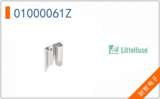 01000061Z