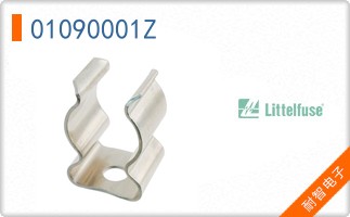 01090001Z