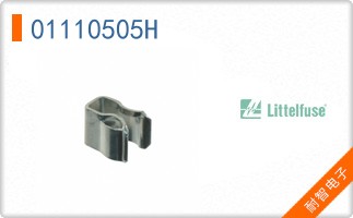 01110505H