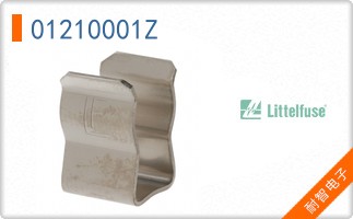 01210001Z