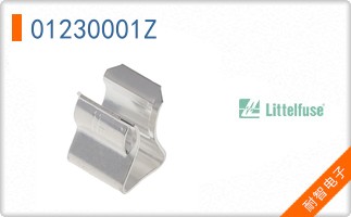 01230001Z