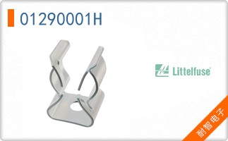 01290001H