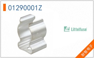 01290001Z