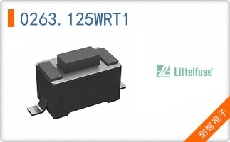 0263.125WRT1